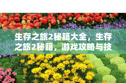 生存之旅2秘籍大全，生存之旅2秘籍，游戏攻略与技巧全解析