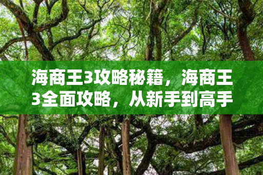 海商王3攻略秘籍，海商王3全面攻略，从新手到高手的进阶之路