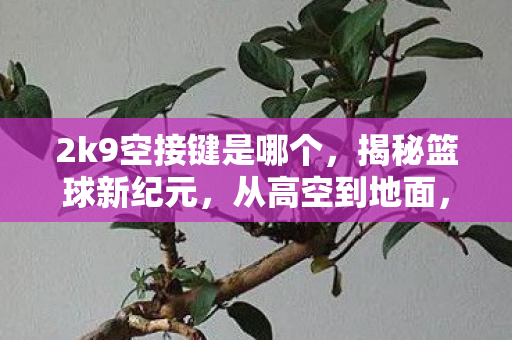 2k9空接键是哪个，揭秘篮球新纪元，从高空到地面，解析新一代空接战术—2K9空接