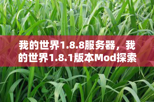 我的世界1.8.8服务器，我的世界1.8.1版本Mod探索之旅，打造独特游戏世界