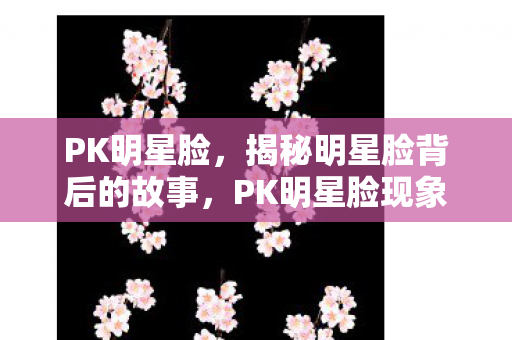 PK明星脸，揭秘明星脸背后的故事，PK明星脸现象深度解析