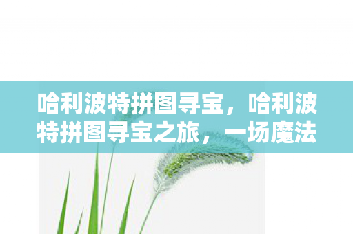 哈利波特拼图寻宝，哈利波特拼图寻宝之旅，一场魔法世界的冒险盛宴（9月27日更新）