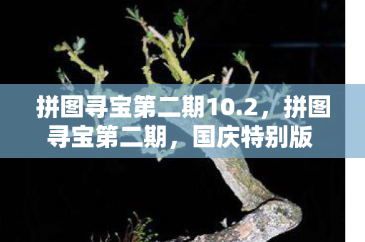 拼图寻宝第二期10.2，拼图寻宝第二期，国庆特别版 10月1日盛大开启！