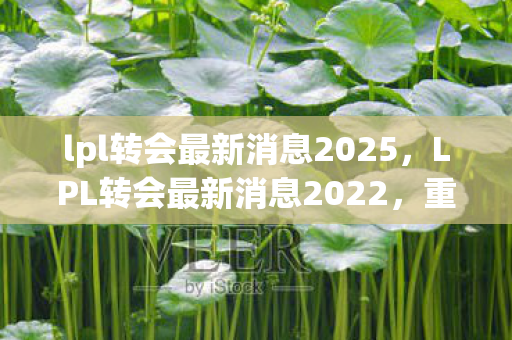 lpl转会最新消息2025，LPL转会最新消息2022，重磅交易与队伍重组，谁将成为新的霸主？