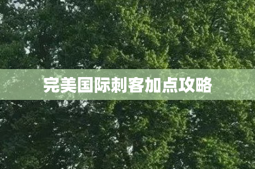 完美国际刺客加点攻略