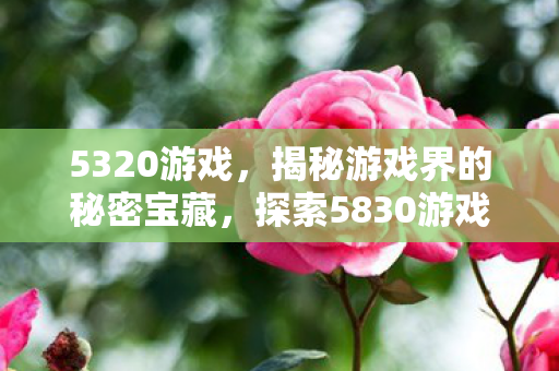 5320游戏，揭秘游戏界的秘密宝藏，探索5830游戏的世界