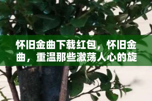 怀旧金曲下载红包，怀旧金曲，重温那些激荡人心的旋律