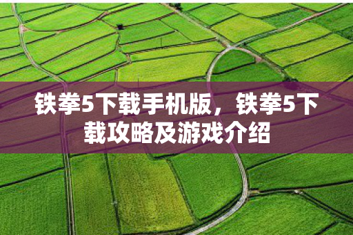 铁拳5下载手机版，铁拳5下载攻略及游戏介绍