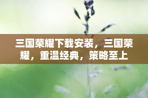 三国荣耀下载安装，三国荣耀，重温经典，策略至上