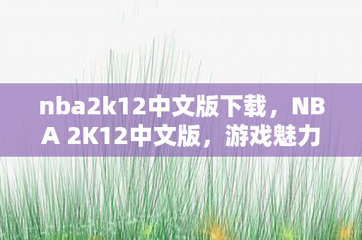 nba2k12中文版下载，NBA 2K12中文版，游戏魅力与体验的全面展现