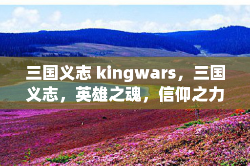 三国义志 kingwars，三国义志，英雄之魂，信仰之力