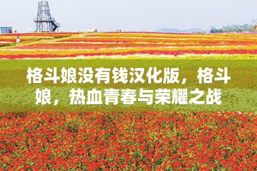 格斗娘没有钱汉化版，格斗娘，热血青春与荣耀之战