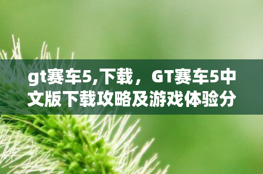 gt赛车5,下载，GT赛车5中文版下载攻略及游戏体验分享
