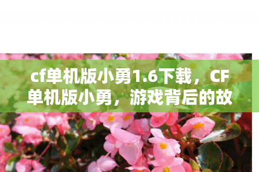 cf单机版小勇1.6下载，CF单机版小勇，游戏背后的故事与魅力