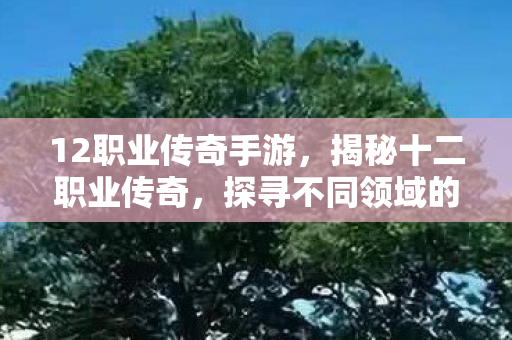 12职业传奇手游，揭秘十二职业传奇，探寻不同领域的英雄风采