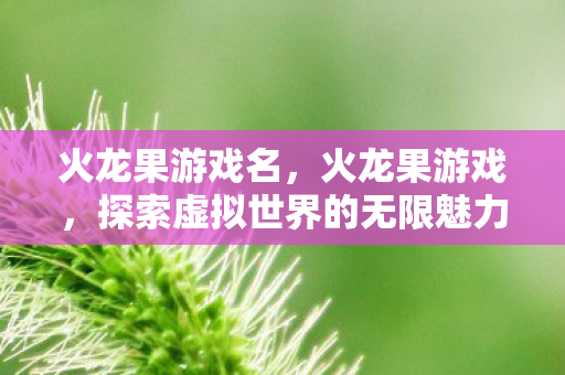 火龙果游戏名，火龙果游戏，探索虚拟世界的无限魅力