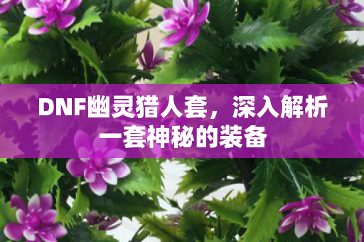 DNF幽灵猎人套，深入解析一套神秘的装备