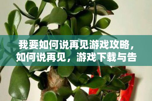 我要如何说再见游戏攻略，如何说再见，游戏下载与告别艺术