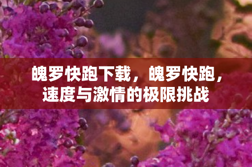 魄罗快跑下载，魄罗快跑，速度与激情的极限挑战