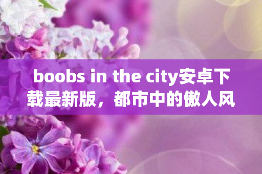 boobs in the city安卓下载最新版，都市中的傲人风采，女性自信魅力的展现
