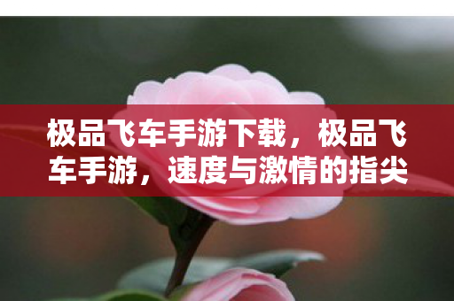 极品飞车手游下载，极品飞车手游，速度与激情的指尖狂欢