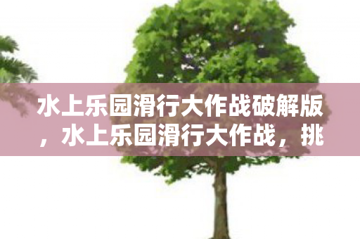 水上乐园滑行大作战破解版，水上乐园滑行大作战，挑战极限，尽享清凉盛夏！