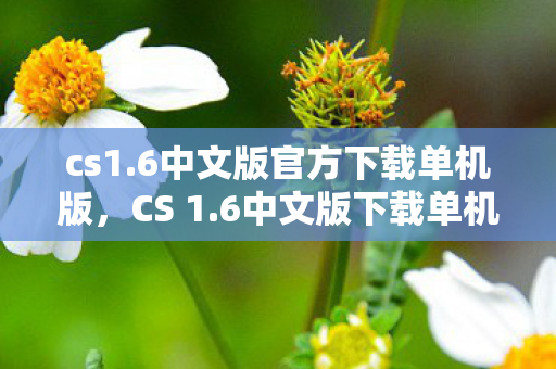 cs1.6中文版官方下载单机版，CS 1.6中文版下载单机版—重温经典射击游戏
