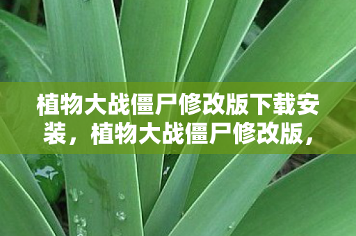 植物大战僵尸修改版下载安装，植物大战僵尸修改版，全新体验的乐趣与挑战