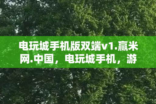 电玩城手机版双端v1.赢米网.中国，电玩城手机，游戏玩家的新宠儿