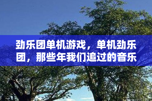 劲乐团单机游戏，单机劲乐团，那些年我们追过的音乐节奏游戏