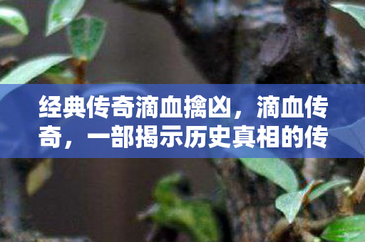 经典传奇滴血擒凶，滴血传奇，一部揭示历史真相的传奇之作