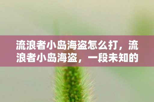 流浪者小岛海盗怎么打，流浪者小岛海盗，一段未知的冒险之旅
