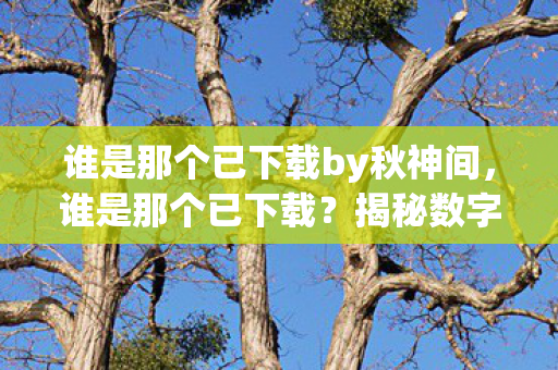谁是那个已下载by秋神间，谁是那个已下载？揭秘数字时代的神秘存在