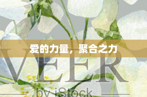 爱的力量，聚合之力