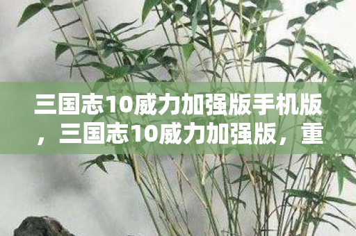 三国志10威力加强版手机版，三国志10威力加强版，重温经典战略之美