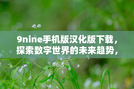 9nine手机版汉化版下载，探索数字世界的未来趋势，从大数据到人工智能的演变