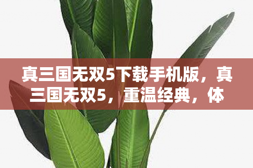 真三国无双5下载手机版，真三国无双5，重温经典，体验无双英雄之旅