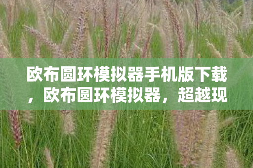 欧布圆环模拟器手机版下载，欧布圆环模拟器，超越现实的战斗体验