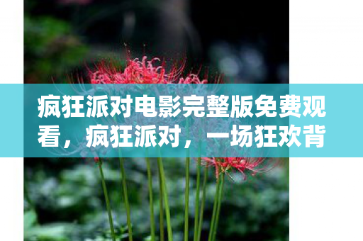 疯狂派对电影完整版免费观看，疯狂派对，一场狂欢背后的故事