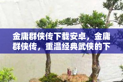金庸群侠传下载安卓，金庸群侠传，重温经典武侠的下载之旅