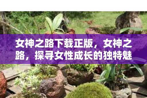 女神之路下载正版，女神之路，探寻女性成长的独特魅力与智慧