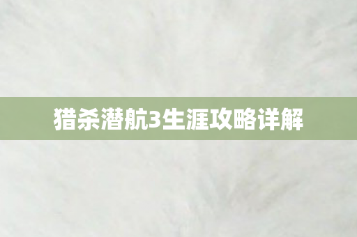 猎杀潜航3生涯攻略详解