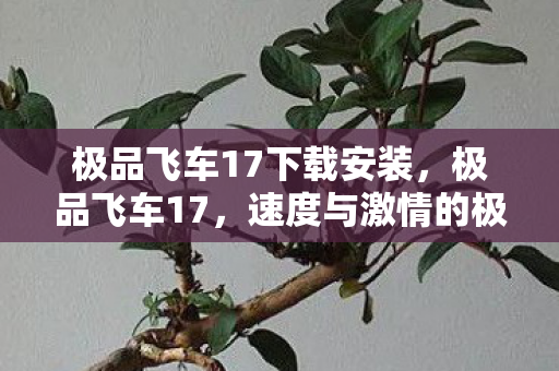 极品飞车17下载安装，极品飞车17，速度与激情的极致体验—下载指南与攻略