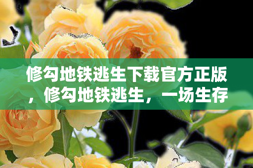 修勾地铁逃生下载官方正版，修勾地铁逃生，一场生存与逃亡的游戏之旅