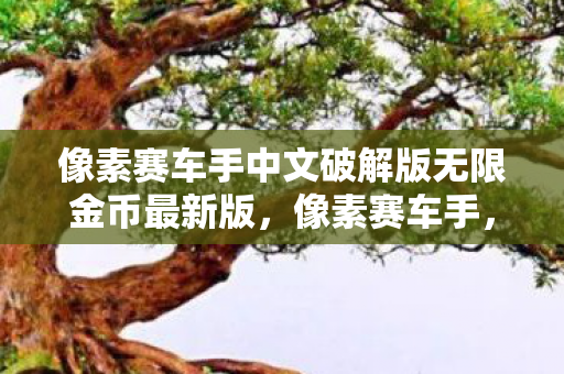 像素赛车手中文破解版无限金币最新版，像素赛车手，速度与激情的完美融合