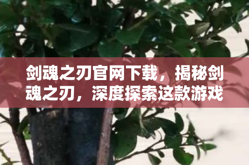 剑魂之刃官网下载，揭秘剑魂之刃，深度探索这款游戏的魅力所在