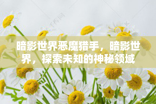 暗影世界恶魔猎手，暗影世界，探索未知的神秘领域