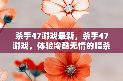 杀手47游戏最新，杀手47游戏，体验冷酷无情的暗杀艺术