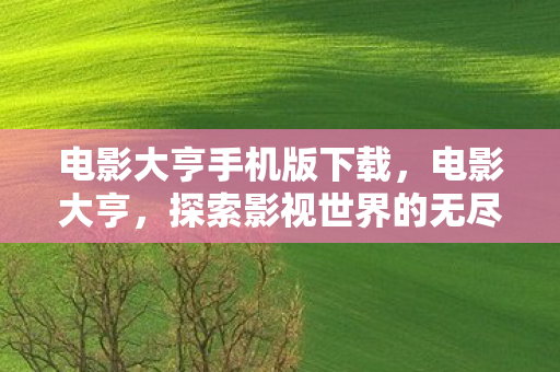 电影大亨手机版下载，电影大亨，探索影视世界的无尽魅力与下载体验
