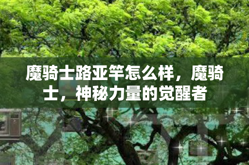 魔骑士路亚竿怎么样，魔骑士，神秘力量的觉醒者